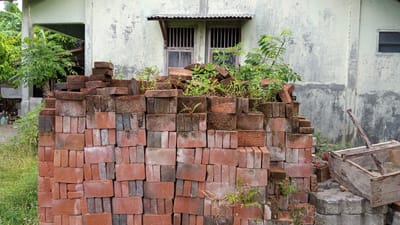 The image depicts a pile of red bricks in front of a weathered, light-colored building with a corrugated metal awning over two barred windows. Lush green vegetation is growing amongst the bricks and near the building. To the right of the brick pile, there is a rustic wooden box and some grey concrete blocks. The environment appears to be outdoors, possibly in a yard or construction area, with tall green grass visible. The building's facade shows signs of age with patches of discoloration and moss. The overall impression is one of an unkempt, possibly rural or underdeveloped urban setting.