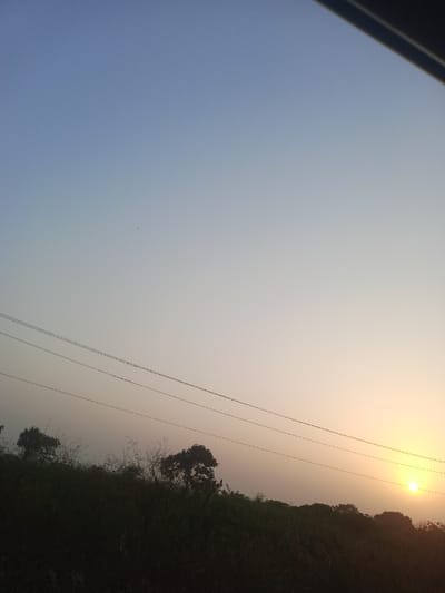 The image shows a hazy sunset over a dark, silhouetted landscape of trees and foliage. The sky fades from light blue at the top to a warm, orangey-yellow near the horizon where the sun is positioned. Power lines stretch horizontally across the frame, adding a man-made element to the natural scene. A hint of an object is visible in the upper right corner.