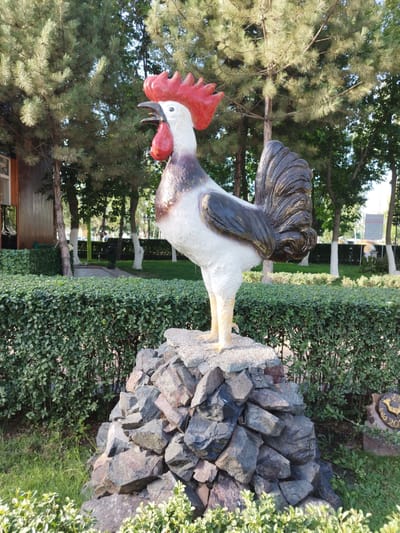 A full-shot photograph captures a vibrant, life-sized statue of a rooster standing prominently on a mound of dark, rough-hewn stones in Kenbulun, Kyrgyzstan. The rooster statue, painted in bold colors, features a bright red comb and wattle, a white head with a black beak, and a body with white, black, and metallic gold plumage. Its mouth is open, as if crowing. The statue is positioned in an outdoor setting, with lush green hedges forming a backdrop. Behind the hedges, several trees with distinctive white-painted trunks and green foliage are visible, along with hints of buildings and other statues in the distance. The ground is covered with green grass and scattered bushes. To the lower right of the rooster statue, partially obscured by the rocks, is a round decorative plaque with the year "2019" inscribed. The lighting suggests it is daytime, with sunlight illuminating the scene.
