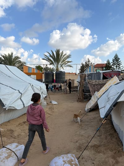 The image portrays an outdoor scene in a-Zawayda, Palestinian Territory, under a clear sky with scattered cumulus clouds. The ground is composed of sand.

In the foreground, a young individual, likely a girl, is seen from behind, walking away from the viewer along a sandy path. She wears a pink hooded sweatshirt, dark-colored pants, and light pink slip-on shoes, with her dark hair tied back. To her left, a white tent-like structure, made of tarpaulin with dark stripes, is anchored by ropes attached to white sandbags. A white plastic jerry can or water container rests beside this tent. To her right, another similar tent structure is partially visible, also secured by ropes.

Ahead of the walking individual, an orange and white cat moves along the sandy path with its tail raised. In the midground, several people are visible near a central area featuring two large black water tanks elevated on a metal frame, situated beneath a tall palm tree. The tanks bear white Arabic script. Laundry is suspended on a line nearby. Two women are clearly discernible among the group; one wears light-colored clothing, and the other wears a dark garment.

To the far right, a makeshift shelter constructed from various materials, including fabrics and branches, is partially visible. A wheelchair is positioned adjacent to this structure. In the background, beyond the temporary shelters, permanent buildings with light-colored walls and reddish-brown roofs are visible, interspersed with palm trees and pine trees.