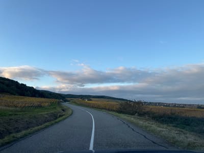 The image captures a rural landscape in Blienschwiller, France, observed from a low vantage point, likely within a vehicle. A two-lane asphalt road, delineated by a continuous white centerline, curves gently to the left from the immediate foreground into the middle distance. On both sides of the road, dry, light brown grass and darker scrub form narrow verges before transitioning into extensive vineyards. The vineyard leaves are uniformly golden-yellow, indicating an autumn season. To the left, a densely forested hillside covered in dark green trees rises sharply. To the right, beyond more vineyards, a cluster of buildings with dark roofs, representing the village of Blienschwiller, is visible on a distant, slightly elevated terrain. The sky is partially cloudy, featuring areas of light blue sky interspersed with scattered cumulus clouds, some brightly illuminated and others appearing darker grey. No individuals, animals, or specific actions are discernible within the frame.