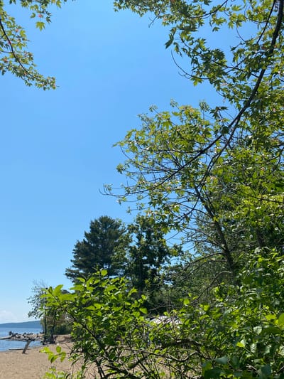 This is a low-angle shot looking up at a clear blue sky, with the branches and green leaves of trees filling the top and sides of the frame. In the background, a dense evergreen tree stands out against the sky. The bottom of the image shows a glimpse of a sandy beach, blue water, and what appears to be driftwood or debris along the shoreline. The scene suggests an outdoor setting, possibly a park or natural area, on a bright and sunny day. The time of day is likely daytime, given the bright sunlight filtering through the leaves. The location is identified as the Town of Peru, United States of America. There is no text visible in the image.
