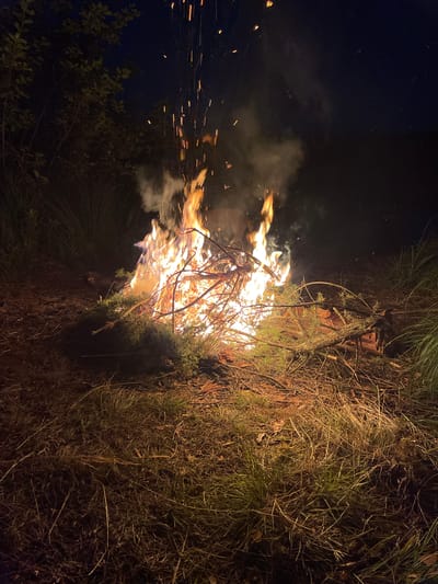 A nighttime outdoor scene captures a bonfire burning intensely in a wooded area. The flames are vibrant orange and yellow, with smoke rising and sparks flying upwards into the dark sky. The fire is built upon a pile of branches and dry grass, illuminating the surrounding dry ground cover and some sparse vegetation. To the left, the dark silhouettes of trees and foliage are visible against the night sky. The ground is covered with dried leaves, pine needles, and grass. The overall impression is one of a rustic, perhaps campsite or wilderness setting, with no people or man-made structures immediately apparent. The location of Inciems, Latvia is not discernible from the visual information presented.