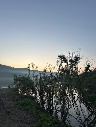 This is a wide shot of a lakefront in Zelenogorskiy, Russia, at dawn. The sky is a pale blue that transitions to a soft yellow at the horizon, where a mist-covered mountain range can be seen. In the foreground, trees with bare branches and some green foliage are reflected in the calm water. The shoreline is a muddy path with grass growing along the edge. There are no people or animals visible in the image.