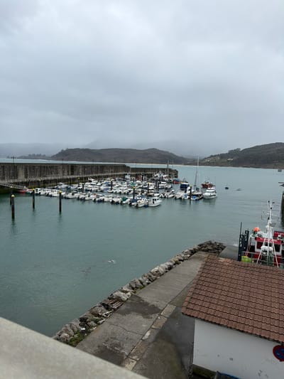 The image depicts a marina in Colunga, Spain, under an overcast sky. A large, grey concrete breakwater extends from the left, forming a harbor basin where numerous white recreational motorboats and a few sailboats are moored. Yellow-capped mooring posts are visible in the foreground water. Beyond the breakwater, a hilly, forested coastline defines the horizon, meeting a calm, light turquoise-green sea. In the immediate foreground, a concrete pathway bordered by a rock-lined edge slopes towards the water. A small, white building with a terracotta-tiled roof is situated in the lower right, featuring a red and blue circular sign on its side. Partially visible to the right of this building is a larger red and white vessel, identified by the text "EL PICU PIENZU," docked at what appears to be a concrete ramp or slip. Debris is visible floating in the foreground water and accumulated along the rocky edge. No individuals are present.