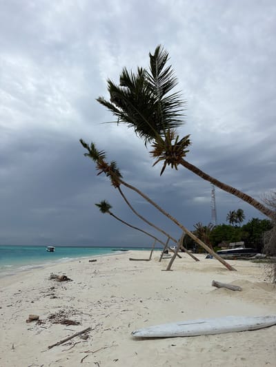 The image shows a beach scene on Fulidhoo, Maldives. The sand is white and the water is turquoise. There are several palm trees leaning toward the beach. A white boat is visible in the water. A communication tower is visible in the background, inland. Debris litters the sand. A piece of wood and a boat are on the beach. The sky is overcast with grey clouds.