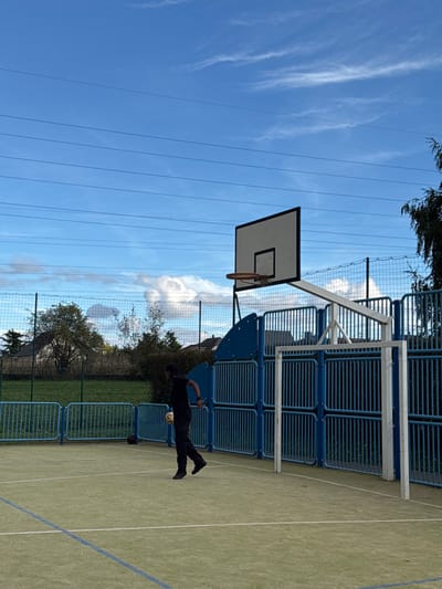 This image displays an outdoor multi-sport court in Niederhausbergen, France, under a blue sky streaked with white clouds and traversed by multiple horizontal power lines. The court surface consists of green artificial turf with white and blue demarcation lines. An adult male, dressed in a black t-shirt, black pants, and dark shoes, stands on the court, positioned in the lower-left portion of the frame. He holds a yellowish-tan ball in his left hand, with his body angled towards the right. A second dark-colored ball rests on the ground near his feet. On the right side of the court, a basketball hoop with a white rectangular backboard and an orange rim is mounted above a white-framed soccer goal. These structures are integrated into a blue metal fence system composed of vertical bars and curved panels. Beyond this primary fencing, a green chain-link fence is visible, followed by deciduous trees, bushes, and distant residential buildings.