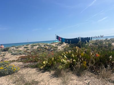 The image depicts a beach scene in La Marina De Creixell, Spain, with a vibrant landscape and elements of daily life. The foreground features sandy terrain interspersed with diverse vegetation, including cacti, succulents, and wildflowers. A clothesline strung between two poles is laden with various articles of clothing, primarily dark-colored shorts, with a few garments in red and blue. A person without a shirt is visible on the left, near the shore, suggesting a relaxed beach atmosphere. The sea stretches across the middle ground, meeting a clear blue sky with contrails from aircraft. The overall setting suggests a sunny day at the beach.