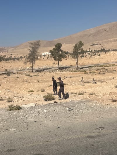 This image, located in the City of Adra labor, Syria, depicts two adult males walking from left to right across an arid, rocky landscape under a clear blue sky. The man on the right, wearing a dark cap and dark overalls, carries a long, dark stick or tool over his right shoulder. The man on the left wears a dark shirt and dark pants. They are walking on uneven, light-brown ground with scattered small bushes and rocks. In the immediate foreground, a paved surface covered with loose gravel and debris is visible, featuring a small, light-colored bird and a dark metal ring. In the midground, beyond the men, a dirt track runs alongside several scattered trees, including a tall, bare tree and two prominent green trees. In the background, light-brown, barren hills rise under the clear sky, with a few distant white structures and sparse vegetation visible at their base. The scene is brightly lit by sunlight, casting distinct shadows.