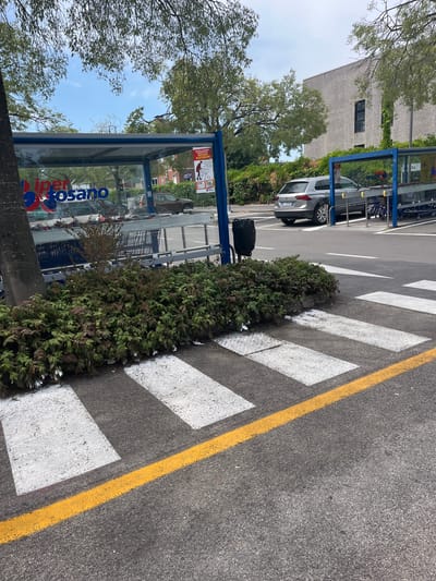The image shows an outdoor scene in front of a supermarket, likely "Iper Fosano" as indicated by the signage visible on the glass shelter. The foreground features a pedestrian crosswalk with white stripes and a yellow line marking. Behind the crosswalk, a dense green bush is planted. To the right of the bush and crosswalk, a gray Volkswagen Tiguan is parked. Further back, a covered area houses numerous shopping carts. Beyond this, a light-colored building with dark windows is visible, surrounded by greenery. The sky is clear and blue with some tree branches overhead. The scene appears to be located in the city of Castiglione delle Stiviere, Italy, as suggested by the "Iper Fosano" signage, which is a hypermarket chain with a location in that city.