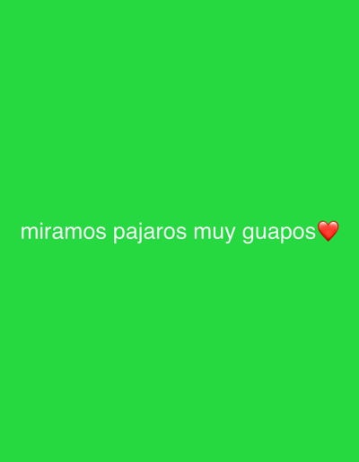The image is a bright green screen with white text overlayed that reads "miramos pajaros muy guapos". To the right of the text, a red heart emoji is visible. The text is centered horizontally and positioned in the lower portion of the frame. The overall tone of the image appears lighthearted and positive due to the text and emoji. There is no discernible scene, setting, or specific activity taking place beyond the display of the text and emoji. No people are visible in the image. The text is in Spanish and translates to "we look at very handsome birds." The provided location context of Mas De Moregons, Spain does not offer any visual cues within the image itself.