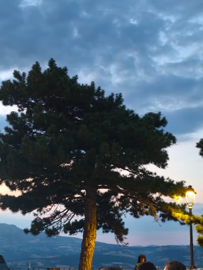 The image depicts a twilight scene with a large pine tree in the foreground, silhouetted against a cloudy sky. A vintage lamppost, illuminated and casting a warm glow, stands to the right of the tree. In the background, rolling hills and a distant landscape suggest an outdoor setting, possibly in the city of Bojano, Italy, given the context. A few indistinct figures are visible in the lower portion of the frame, some appearing to be seated. The overall atmosphere is serene and dusky, with natural light fading and artificial light beginning to dominate.