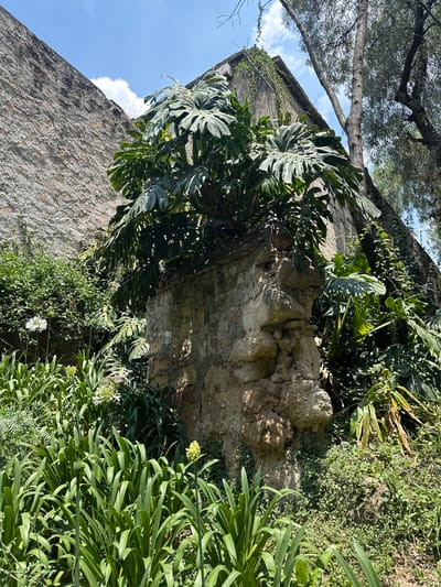 A stone wall overgrown with vegetation is presented in an angled, upward-looking perspective. The wall's surface has variations in color and texture, with areas of shadow and light suggesting weathering and age. Large, broad-leafed plants, likely Monstera, are prominently featured, draping over the top and sides of the wall. Additional plant life, including smaller leafy ground cover and flowering plants with long, linear leaves, are visible near the base. In the upper-left corner, the branches and leaves of a tree frame the scene, with glimpses of a blue sky and clouds beyond. The location is specified as Tlalnepantla, Mexico, although there is no additional information such as people or activities.