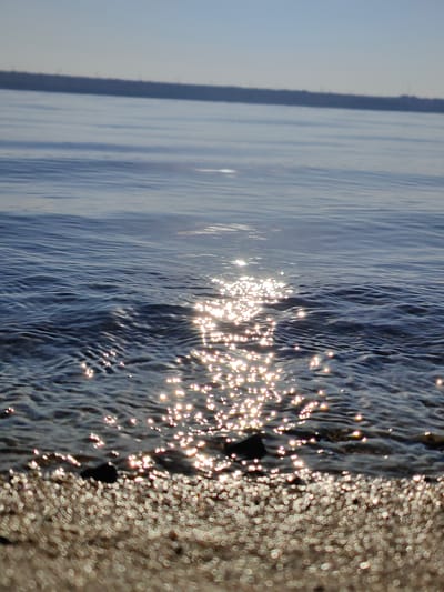 This is a photograph of the Nistru River at Nezavertaylovka, Moldova. The sun is shining, creating a glint on the water. The foreground is a sandy shore. In the background, there is a thin line of trees. The water is calm and reflects the sky.