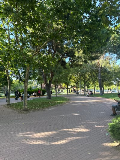The image depicts a sunny day in a park in Leganés, Spain. People are seen relaxing on benches and walking along a brick pathway lined with trees and green grass. The scene suggests a leisurely afternoon in a public space. Sunlight casts dappled shadows on the path, indicating it is likely midday or early afternoon. In the background, a Ferris wheel is visible, suggesting the park might be near an amusement area or fairground. The overall mood is peaceful and relaxed, with individuals enjoying the outdoor environment. No visible text is present in the image.