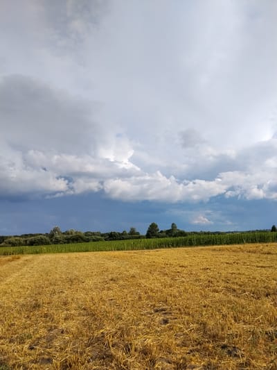 The image depicts a rural landscape with a focus on agricultural fields under a dramatic sky. In the foreground, a field of harvested golden stubble stretches across the frame, showing remnants of a recent crop. Beyond this, a vibrant green field, possibly sunflowers or corn, forms a distinct line across the middle ground. Behind the green field, a dense line of trees creates a natural border, with scattered larger trees and some lighter foliage visible. The background is dominated by a vast sky filled with a mix of dark, brooding storm clouds and brighter, lighter clouds, suggesting an impending weather change. The scene is located in the city of Matiashivka, Ukraine, and the image captures a wide, open expanse characteristic of agricultural land in the region. There are no people or animals visible in the frame.