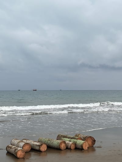 This media file captures a serene beach scene at Uleekareung, Indonesia. The subjects are several large logs of wood, some showing a greenish hue from algae or moss, resting on the wet sand near the water's edge. The logs are arranged in a somewhat scattered manner, with their cut ends exposed, revealing the woody texture and orange-brown color of the timber. In the background, the calm, grey ocean stretches to the horizon under an overcast sky. Gentle waves are breaking on the shore, creating a foamy white line of surf. A few small boats are visible in the distance on the water, suggesting the sea is being used for fishing or transport.

The weather appears to be cloudy and possibly humid, typical of a tropical climate. The time of day is not precisely indicated, but the diffused light suggests it could be morning or late afternoon. There are no people visible in the frame, contributing to a sense of solitude and tranquility. The overall mood is peaceful and natural, highlighting the raw beauty of the coastal environment and the presence of weathered logs as remnants of nature or perhaps gathered for a purpose. There is no visible text in the media file.