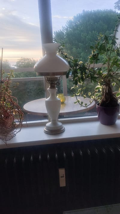The image depicts an interior windowsill in Leiden, Netherlands, looking outwards towards a garden or park. On the windowsill, a white oil lamp with a brass base and trim sits prominently. To the left of the lamp, a plant with thin, vine-like stems and small leaves in a decorative wire basket is visible. To the right of the lamp, a potted plant with dark, thick roots and variegated green and white leaves is placed in a dark purple pot. In the background, a round wooden table is partially visible, and behind it, a large window reveals a lush green tree canopy and a hazy sky with soft light, suggesting either dawn or dusk. A black radiator with a light-colored rectangular tag featuring a black dot and a vertical line is situated below the windowsill.