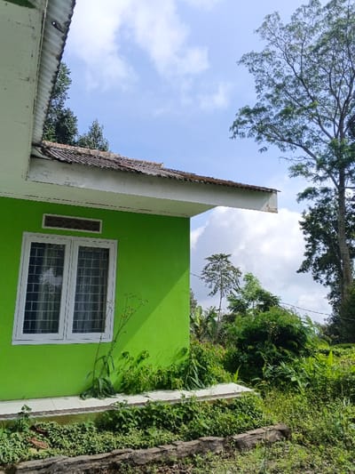 The scene captures the exterior corner of a building, presumably in the city of Nanlao, China, under a bright, partially cloudy sky. The visible wall of the structure is painted a vivid lime green. A white-framed, double-pane window with internal security bars is centrally located on this wall, with a smaller, horizontally rectangular window or vent opening positioned directly above it, also featuring a white frame and horizontal grates. A tall, slender plant with small yellow-orange buds or seed pods grows against the green wall, positioned to the left of the window.
The roofline above the green wall includes a white-painted overhang, showing some peeling and discoloration. The roof itself appears to be a combination of corrugated metal and older, possibly tiled, material, exhibiting signs of wear and moss growth. The base of the building is defined by a light-colored, possibly tiled or concrete, ledge.
The environment surrounding the building is heavily vegetated. Dense, untamed green foliage, including various weeds and small plants, grows directly against the building's base and across the immediate foreground. A dark, irregular-shaped border segment is visible in the lower foreground. In the midground and background, a lush array of trees and dense shrubs with varying shades of green foliage extends into the distance, under a clear blue sky interspersed with fluffy white cumulus clouds. No individuals or active subjects are present within the frame.