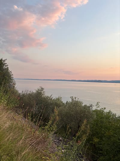 The image depicts a tranquil twilight scene overlooking Lake Garda, Italy. The sky is painted with soft hues of pink and pale blue, with scattered clouds. In the foreground, lush green foliage and dry grasses line a rocky incline. Olive trees and other Mediterranean vegetation are visible, suggesting a natural or semi-cultivated landscape. The calm waters of the lake stretch towards a distant, hazy shoreline with rolling hills. The overall impression is one of serenity and natural beauty, characteristic of the Italian lake district. There are no people or specific man-made structures identifiable in the scene, besides what appears to be a distant boat on the water.