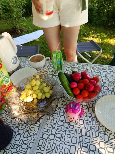 The image depicts a picnic scene on a table with a black and white geometric patterned tablecloth. In the foreground, a bunch of green grapes is served on a dark, ornate glass plate. To the right of the grapes, a clear glass bowl contains radishes and cherry tomatoes, alongside a cucumber. A small, pink and blue wind-up toy beetle sits in front of the bowl. In the background, a white mug of coffee and a white electric kettle are visible on the table. A person's legs, wearing white shorts, are partially visible in the upper portion of the image. The setting appears to be outdoors, with green foliage and sunlight suggesting a garden or park area, possibly in Shishkin Les, Russia.