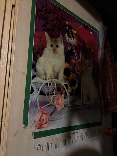 A close-up shot reveals a laminated poster or print featuring two white kittens on a decorative, white bicycle. The kittens are surrounded by colorful flowers, creating a whimsical and cheerful image. To the right of the poster is a partially obscured calendar with Chinese characters and numerals. The poster rests on a weathered surface, possibly a table or drawer, with visible imperfections and discoloration. The overall scene is indoors, with a sense of age and domesticity conveyed by the worn surface and outdated calendar. No people are visible in the image. The location is not identifiable as Ulyanovka, Russia from the image alone.