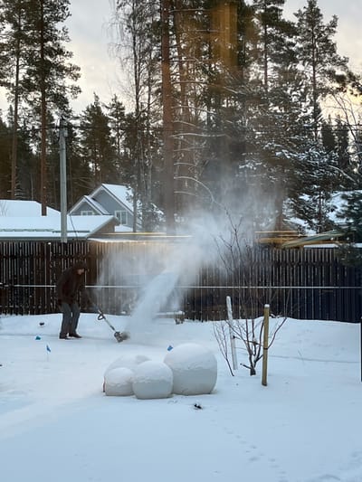 The scene depicts a snow-covered residential area in Finskiy Briz, Russia, under overcast winter daylight. In the foreground, a lone individual, dressed in a dark hooded jacket, blue jeans, and brown shoes, operates a dark-colored snow blower. The snow blower is actively propelling a dense stream of white snow upwards and towards the right. The ground is uniformly covered in a thick layer of white snow. In the lower foreground, three large, rounded objects, possibly garden decorations or plant covers, are heavily blanketed with snow. Several small blue markers are visible in the snow near the individual and the rounded objects.
Behind the individual, a dark brown wooden privacy fence stretches horizontally across the midground. Beyond the fence, several houses are visible, including one with light blue-grey siding and a snow-covered roof. A utility pole with power lines is present on the left side, behind the fence. The background is dominated by numerous tall coniferous trees, primarily pines, and some bare deciduous trees, all with snow visible on their branches. The sky above is bright but overcast. Faint footprints are visible in the snow in the lower right foreground.