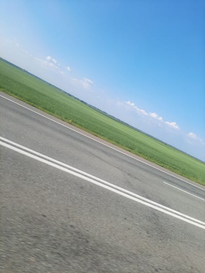 This media file depicts an asphalt road with double white lines, viewed at an angle, suggesting movement or a tilted perspective. To the left of the road, a vast expanse of vibrant green crops stretches towards a clear blue sky dotted with a few wispy white clouds. The sun is shining, creating a bright, clear day, likely mid-morning or early afternoon given the intensity of the light and the blue of the sky.
The setting is rural, characterized by the expansive agricultural field adjacent to the road. There are no people or vehicles visible in the frame, emphasizing the open and natural landscape. The overall impression is one of travel through a serene, agricultural region. The image is a snapshot of a journey, capturing the essence of a road trip through a cultivated countryside under a bright, sunny sky. The crops appear healthy and abundant, hinting at a season of growth. The scene evokes a sense of peace and open space.
