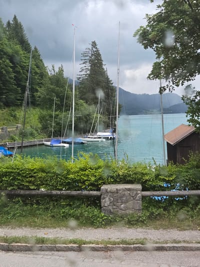 This image depicts a serene view of a lake in Kochel am See, Germany, on a cloudy day. The foreground is dominated by lush green foliage, a rustic wooden fence, and a stone pillar, hinting at a pathway or garden area. Beyond this, the tranquil turquoise waters of the lake are visible, dotted with several sailboats. The boats are mostly white with blue covers, moored near a wooden pier. The background is characterized by a dense forest of evergreen trees covering the rolling hills, which then transition into a range of misty mountains under a dramatic, overcast sky. A small, weathered wooden boathouse with a reddish-brown roof is situated on the right side of the frame, adding a touch of rustic charm to the landscape. The presence of water droplets on the lens suggests it might be raining, contributing to the diffused light and atmospheric quality of the scene. There are no people visible in the image.