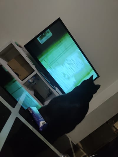 A black cat is silhouetted against a television screen displaying a distorted, green and blue image. The cat is positioned on the right side of the frame, facing away from the viewer and towards the television. The television is large and flat-screen, tilted upwards and to the left. Below the television is a white media console with some items on it, including a cardboard box and a blue and white package that appears to be a box of tissues. The television screen exhibits significant visual artifacts, suggesting a malfunction or damaged display. The background is dimly lit, with a plain white wall on the left and a darker area on the right. The overall setting appears to be an indoor living space, possibly a living room or entertainment area. The angle of the shot suggests the photo was taken from a slightly elevated position. The lighting is low, creating a shadowy atmosphere, with the bright, glitchy screen being the primary light source in the immediate vicinity. No discernable text is visible on the cat or the television screen. The blue and white package on the media console has some writing on it, but it is too blurry to read.
