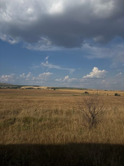 This is a landscape photograph taken in Svoboda, Bulgaria. The image depicts a wide expanse of dry, golden grass in the foreground, casting a dark shadow across the bottom portion of the frame. A leafless, dark-branched tree stands in the middle ground to the right. In the background, rolling hills are covered with fields of golden crops, possibly wheat or barley, with scattered patches of darker green vegetation suggesting trees or shrubs. The sky is a mix of bright blue with scattered white cumulus clouds, and a large, dark grey cloud bank dominates the upper portion of the sky, creating a dramatic contrast. The overall impression is one of a vast, open rural landscape under a dynamic sky.