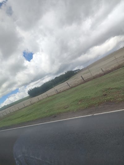 The image depicts a rural scene likely located in or around Kisima ward, Kenya. The foreground is dominated by a paved road, characterized by dark asphalt. To the right of the road, a grassy embankment ascends toward a fenced field. The field shows a transition in vegetation, from green grass near the road to drier, brown vegetation at the upper part. A line of trees is present along the central portion of the field, adding depth to the scene. The sky occupies a substantial portion of the image, exhibiting a complex arrangement of clouds. Some clouds are dense and gray, obscuring much of the sky, while patches of blue sky are visible between the clouds. The fence posts are evenly spaced and run across the horizon line. The camera appears to have been positioned low to the ground, possibly from the inside of a vehicle, which is causing the distorted and tilted angles of the image. No people, subjects, objects, actions, or interactions are visible.