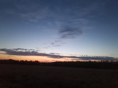 A wide-angle, slightly underexposed, landscape photograph depicts a rural scene at dusk. The sky transitions from a deep blue at the top to a pale, light blue closer to the horizon, with thin, wispy clouds scattered throughout. Just above a dark silhouette of a treeline, a band of orange and pink light suggests the setting sun. The foreground is dominated by a dark, featureless field, possibly farmland, with some indistinct texture. The treeline extends across the horizon, appearing dense and unbroken. The overall impression is one of peaceful, natural twilight in an undeveloped area. There is no indication of the city of Vilne, Ukraine, within the image.