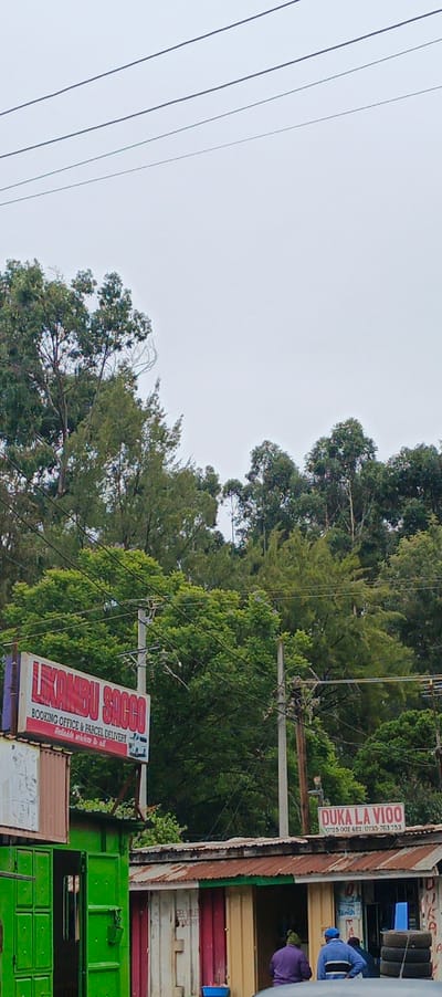 The image shows two adjacent small businesses in an outdoor setting. One is "LIKOMBU SACCO," a booking office and parcel delivery service, advertised with a sign above what appears to be a container office. Adjacent to it is "DUKA LA VIOO," possibly a shop, with a visible sign including phone numbers. The surrounding background features green trees and overcast skies. People are visible near the businesses.