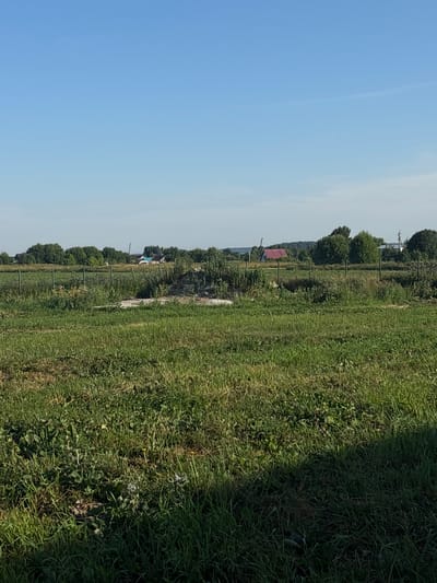 This image depicts a rural landscape near the city of Ves', Russia. The foreground is dominated by a field of green grass, with some areas appearing more overgrown and wild than others. A shadow from an unseen object falls across the right side of the frame. In the mid-ground, a low fence made of green posts and wire runs horizontally across the image, separating the field from a more cluttered area with bushes and some patches of light-colored ground. Beyond the fence, in the background, are scattered houses with red and blue roofs, surrounded by a line of dense green trees. The sky is a clear, pale blue, with no clouds visible. The overall impression is of a peaceful, undeveloped rural setting on a sunny day.