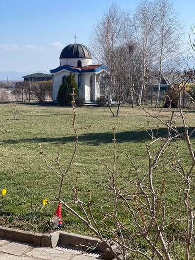 The image displays an outdoor scene in Golyanovtsi, Bulgaria, under a clear blue sky. In the mid-ground, a small, white chapel-like building with a black dome roof topped by a metallic cross stands on a well-maintained green lawn. The building features blue trim along its eaves and a section of terracotta-colored roof tiles beneath the dome. A small evergreen shrub is positioned to the left of the building. Behind the chapel, a metal fence is visible, separating the lawn from distant residential structures with dark roofs and light walls. A distant mountain range is visible on the horizon. Several bare deciduous trees with white bark are scattered across the lawn. In the immediate foreground, numerous bare branches of shrubs with emerging leaf buds are prominent. A concrete curb with an integrated metal drainage grate runs horizontally across the bottom right. To the left of the foreground branches, within a planting bed bordered by the concrete curb, two yellow daffodils are in bloom, next to a garden gnome figurine wearing a red pointed hat, white beard, blue shirt, and red pants. The scene is brightly illuminated by direct sunlight, casting shadows across the grass. There are no people visible.