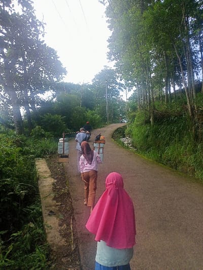 This image depicts a group of people walking along a winding, paved road in a lush, green, rural setting. The road is bordered by dense tropical vegetation and tall trees on both sides, with a concrete drainage path running alongside it on the left.
In the foreground, seen from behind, is a person wearing a bright pink hijab over a light top and a blue skirt. Ahead of them, a young woman in a light pink top, brown pants, and a dark headscarf walks barefoot. Further up the ascending road, two individuals are carrying heavy loads suspended from a traditional shoulder pole (pikulan). The loads appear to be large, rectangular metal containers. One of the carriers is wearing a blue shirt, while the person in front is partially obscured but wears a red cap.
The scene captures individuals engaged in daily travel and manual labor, transporting goods along this scenic path. The time of day appears to be daytime, with a bright, possibly overcast or hazy sky, indicating diffused light. The tropical foliage, traditional carrying method, and the clothing choices are consistent with the provided location context of Kecamatan Pangalengan, Indonesia. No visible text is present in the image.