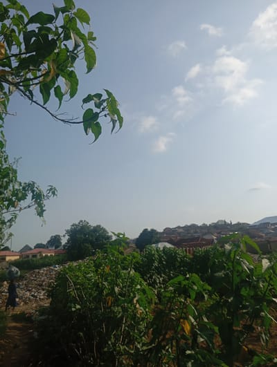 In Gwagwa, Nigeria, under a clear sky dotted with sparse clouds, a figure walks along a dirt path carrying a large, round object on their head. The figure, wearing a dark blue garment, is moving towards the left side of the frame. To the right of the path, a large pile of debris, consisting of plastic waste and other refuse, is visible. In the foreground, lush green plants and bushes dominate the scene, obscuring the ground in places. In the middle ground, beyond the debris, a collection of buildings with red-tiled roofs and some with light-colored walls stretches across the landscape. The background features a gentle, undulating terrain with more buildings and trees, suggesting a densely populated area. The overall impression is one of a community situated near a significant amount of waste, with a clear contrast between the natural vegetation and the human-made environment.