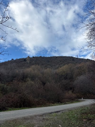 The image depicts a rural mountainous landscape in Gudemnis, Armenia, under a partially cloudy sky. A large, tree-covered hill dominates the background, with deciduous vegetation appearing mostly bare or with sparse, dark brown foliage. On the upper left slope of the hill, a prominent, light brown rock formation or structure is visible. Towards the upper right slope, a tall, lattice-style metal tower, likely a power line or communication tower, stands against the sky. In the foreground, a paved asphalt road curves gently to the right, ascending the hillside. The road features a solid white line on its right edge and a broken white line marking the center or left edge of the visible lane. A white reflective roadside marker post is present on the outer edge of the curve. The immediate roadside consists of dry grass, bare soil, and dense, leafless shrubs. Bare tree branches partially frame the top-left and top-right corners of the scene. No individuals, vehicles, or animals are present.