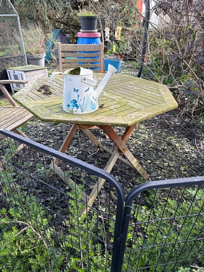 The image depicts a garden scene likely located in a residential area in Pulverbatch, United Kingdom. A weathered wooden table with a watering can on top is positioned adjacent to a black metal fence. The ground is covered with dark gravel and patches of green vegetation. In the background, there are garden features such as colorful stacked pots and wooden structures. The environment is overgrown, suggesting a natural and untamed garden.