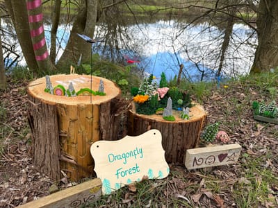 A colorful miniature fairy garden in a woodland setting, likely in Malvern Hills, UK, as the image tag suggests, is displayed on two tree stumps in front of a body of water. The taller stump to the left features miniature hobbit-like doors and small rocky formations with a metal dragonfly on a stick hovering above. The shorter stump on the right holds a more elaborate garden with miniature trees, flowers, and another rocky formation. A wooden sign reading "Dragonfly Forest" with small evergreen tree drawings adorns the front of the stumps. To the right of the stumps lies a small wooden block with whimsical drawings and words. A partially visible tree with a pink ribbon wrapped around it is behind the stumps. The setting is a natural woodland area covered with fallen leaves, grass, and surrounded by trees. The water body reflects the sky and surrounding trees.