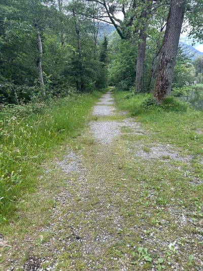 This is a vertical, eye-level, full shot of a gravel path lined with lush green grass and trees, winding through a natural setting in Hüsen, Switzerland. The path appears to be a walking trail, possibly in a park or rural area, with the dense foliage of trees on the left and a more open, grassy verge on the right. The trees are tall and mature, with rough bark, and their leaves form a verdant canopy that casts dappled shadows. The grass is tall and somewhat wild, with hints of small white wildflowers.
The gravel path itself is narrow and appears well-trodden, suggesting regular use. It recedes into the distance, creating a sense of depth and inviting the viewer to follow its course. The overall impression is one of tranquility and natural beauty. The lighting suggests it is daytime, possibly late afternoon, as the light is soft and diffused, with no harsh shadows. The weather appears to be mild and pleasant, conducive to outdoor activities.
The scene evokes a feeling of peace and serenity, offering a glimpse into a tranquil, natural landscape. The location context of Hüsen, Switzerland, adds a layer of specific geographical information, hinting at a mountainous or alpine environment, although the mountains themselves are only faintly visible in the background, shrouded in a light mist. There is no visible text within the image.