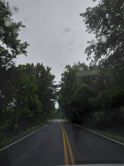 The image shows a two-lane asphalt road lined with trees on both sides. The road is wet, indicating it might be raining or has recently rained. There are yellow double lines down the center of the road and a white line on the right edge. The sky is overcast and gray. The trees are dense and green, with foliage extending over the road in some areas. The scene appears to be a rural or semi-rural setting, possibly a road in the city of Stamping Ground, United States. There are no people or vehicles visible in the image. The perspective is from a vehicle looking forward.