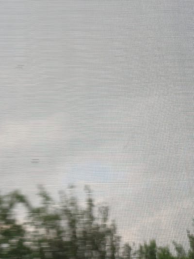 The image shows a blurred view of trees and the sky through a screen, suggesting a window or outdoor netting. The screen creates a grid pattern over the scene, obscuring fine details. The sky appears overcast. The scene is not specific to any particular location in Шипуново, Russia, and there are no people, objects, or actions identifiable.
