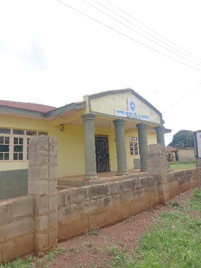 The image shows the exterior of a building with a sign reading "Divine favour Schools & Academy". The building is a single-story structure with a yellow exterior and a brown tile roof. The building has a covered porch supported by four columns, one of which appears to be broken. There are windows on the front of the building and a black metal door in the center. The building is surrounded by a short concrete wall. There is green grass growing in front of the wall. Power lines run overhead. There are no people in the scene. The location is in Ita Oniyan, Nigeria at coordinates: Latitude: 7.291, Longitude: 5.166.