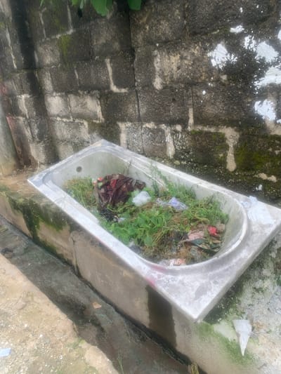 In Eliozu, Nigeria, an abandoned bathtub, filled with overgrown vegetation and debris, sits in an outdoor area. The bathtub is positioned next to a concrete drainage channel. Behind the bathtub, a weathered brick wall covered in moss and peeling paint suggests a neglected environment. The overall scene depicts an area that is in disrepair.