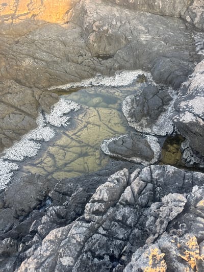 The image shows a close-up view of a tide pool nestled amongst rocky terrain. The rocks are predominantly dark gray and textured, with some areas showing a lighter, chalky white encrustation, possibly salt deposits. The tide pool contains clear, shallow water with a greenish tint. Visible on the bottom of the pool are patterns formed by the rock formations beneath the water. The surrounding rocks are jagged and uneven, characteristic of a coastal environment. The top left portion of the image features rocks illuminated by warm, golden light, suggesting sunlight. The scene appears to be an outdoor natural setting, likely a coastline. The location is specified as Višnjevo, Montenegro, which implies this is a natural geological formation on its coast. There are no people or animals visible in the image, and no actions or interactions are depicted.