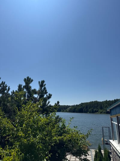 This is an outdoor, eye-level, wide-angle shot of a body of water in Tiutky, Ukraine, under a clear blue sky. In the foreground, on the left side, is lush green foliage from a tree. Behind the foliage, a darker green coniferous tree is visible. A wooden deck or pathway is present at the bottom of the frame. To the right of the image, a blue building with a window and a stone foundation is situated. Beyond the deck and building, a calm lake stretches out. The far shore of the lake is lined with a dense forest of green trees. A small white buoy is visible on the surface of the lake. A metal structure with a bench and a life preserver is located near the building on the right. The overall scene depicts a serene natural setting by the water.