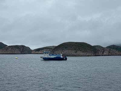 The image depicts a wide shot of a body of water with a blue and white ferryboat in the center. The ferryboat is on the right side of the frame, with its bow facing left. It has a multi-level cabin structure at the stern, painted white, with dark windows. The lower hull of the ferryboat is dark blue, with a white band running along the deck. A person in dark clothing is visible on the stern deck, near the railing. To the left of the ferryboat, a yellow buoy floats on the water. In the background, rocky, sparsely vegetated hills rise from the water's edge, forming a coastline under an overcast, gray sky. The water is choppy, with small waves creating a textured surface. The scene appears to be a calm, somewhat bleak day in the city of Onøya, Norway, given the characteristic coastal landscape.