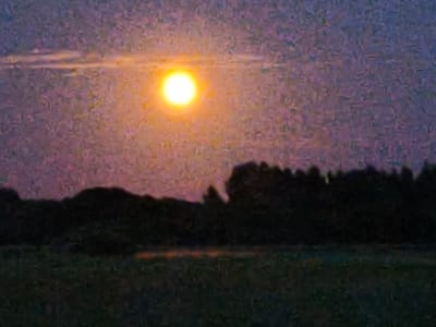 This is a grainy, low-resolution photograph of a sunset or moonrise over a dark, silhouetted tree line. The sky is a gradient of purple and orange, with a bright, circular orb of light, likely the sun or moon, positioned in the upper center of the frame. Below the sky is a dark band of trees, which appear dense and irregular in shape. In the foreground, there is a dark field or meadow, with some faint reddish-orange lights visible in the distance, possibly reflections or distant lights. The overall scene suggests a rural or natural setting. The image is undated and the location in Dobromislė, Lithuania is not visually discernible from the photograph itself.